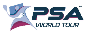PSA Resized Logo