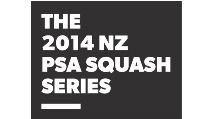2014 PSA Series logo small